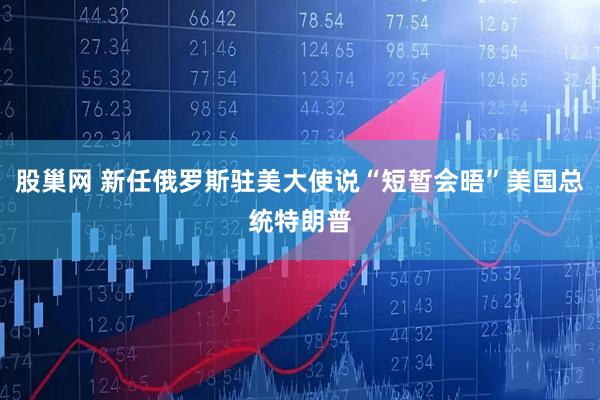 股巢网 新任俄罗斯驻美大使说“短暂会晤”美国总统特朗普
