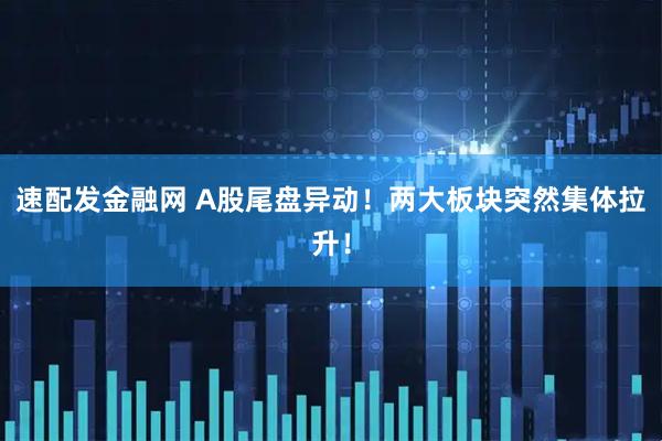 速配发金融网 A股尾盘异动!两大板块突然集体拉升!