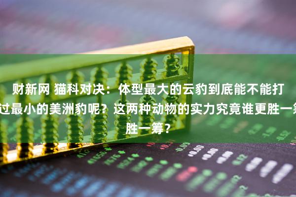 财新网 猫科对决：体型最大的云豹到底能不能打得过最小的美洲豹呢？这两种动物的实力究竟谁更胜一筹？